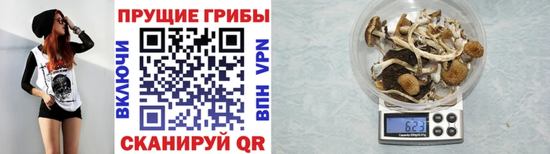 Галлюциногенные грибы мицелий  Мичуринск 