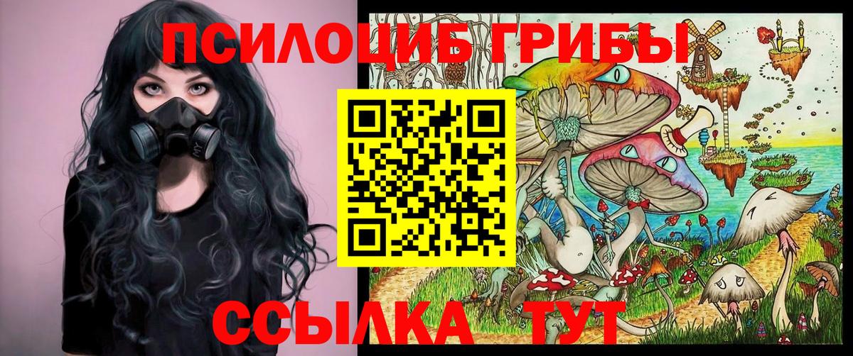 Мичуринск  Псилоцибиновые грибы GOLDEN TEACHER  дарнет шоп  Вход с VPN 